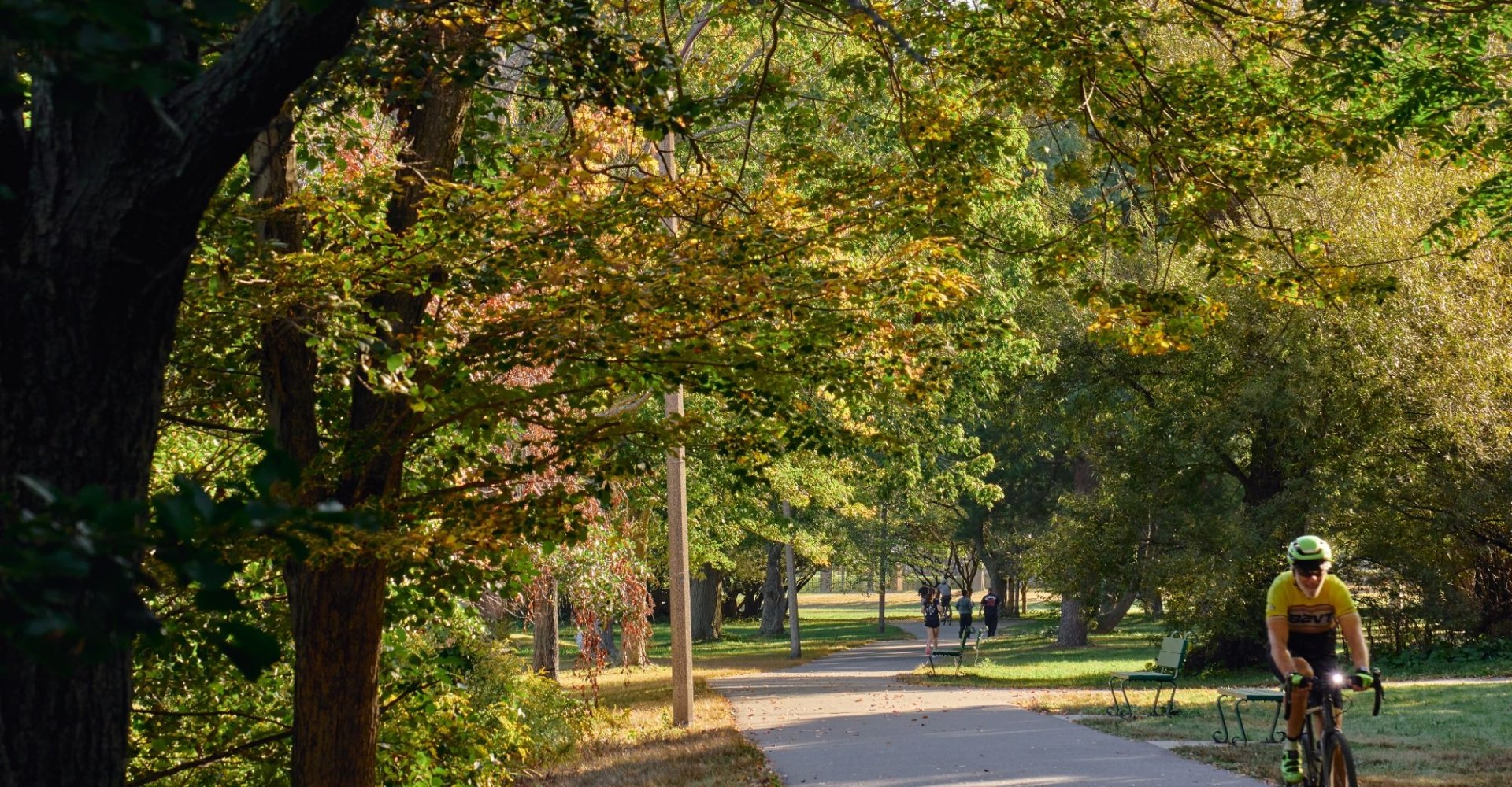 A scenic, sunny view of a paved path in Herter Park bordered by mature trees with golden-green leaves. A cyclist in a yellow jersey rides down the path in the late afternoon sun.