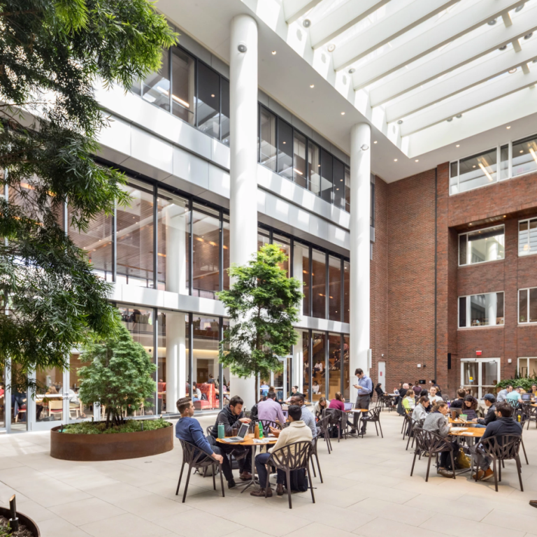 The bright, modern atrium of the Kennedy School, featuring tall white columns, large glass windows, and a central courtyard dining area where people are seated at small tables, surrounded by indoor trees and plants.