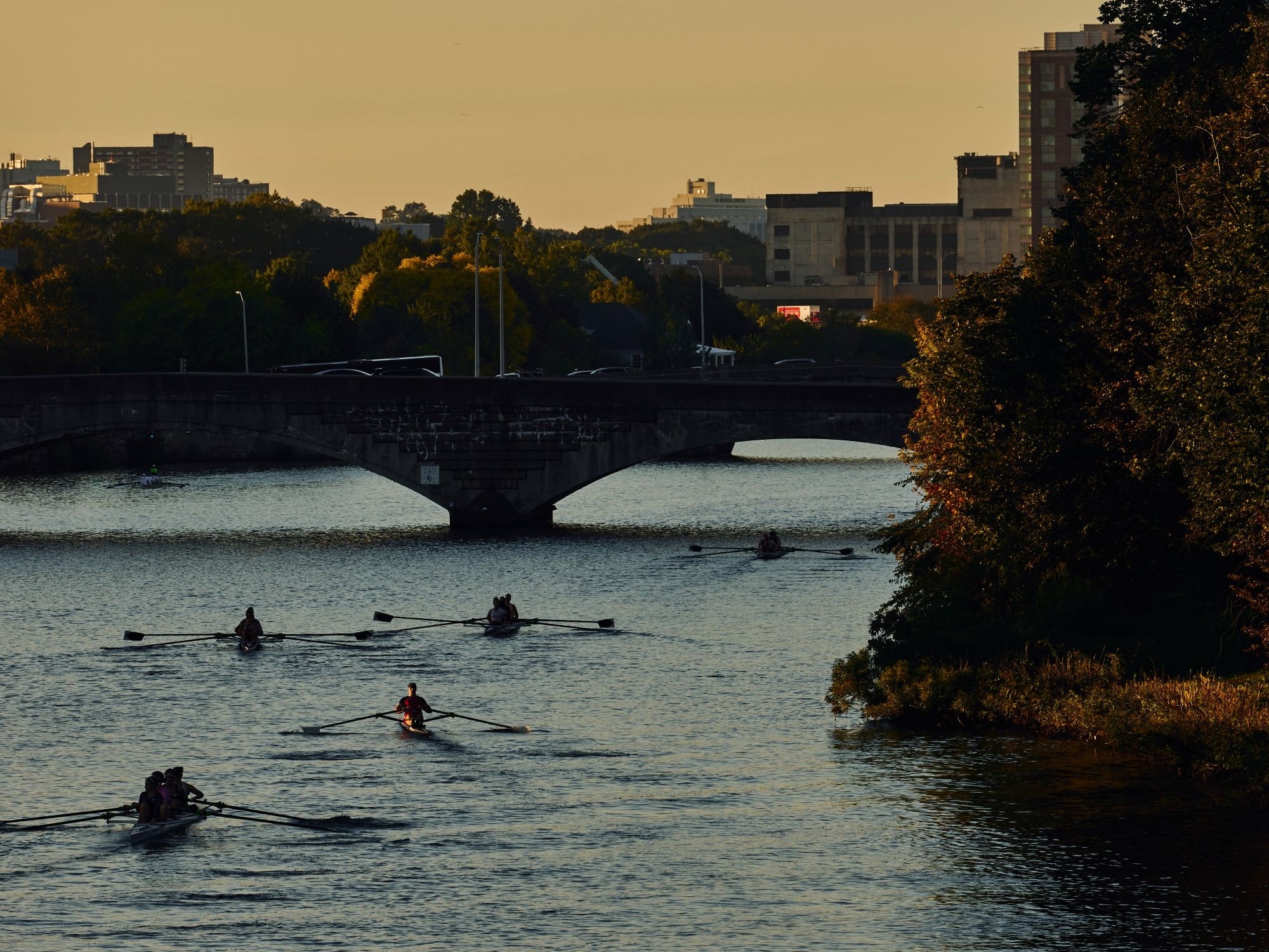 Rowers in several boats moving on a river at sunset, with a stone bridge and city skyline in the background.