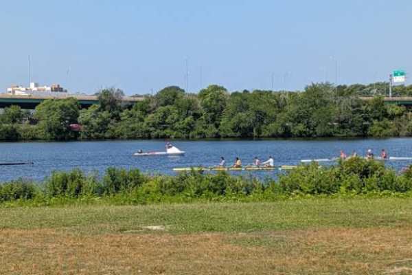 Rowers in several boats race along a calm river with a tree-lined shore and an overpass in the distance.