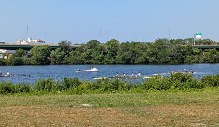 Rowers in several boats race along a calm river with a tree-lined shore and an overpass in the distance.