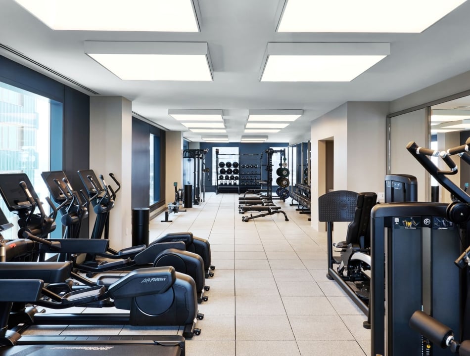 Well-lit modern gym with rows of treadmills along windows and a central weight rack area in the back.