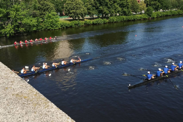 Several rowing teams race in long boats on a calm river, with one blue boat and other blue and red-clad crews paddling in unison near a green riverside.