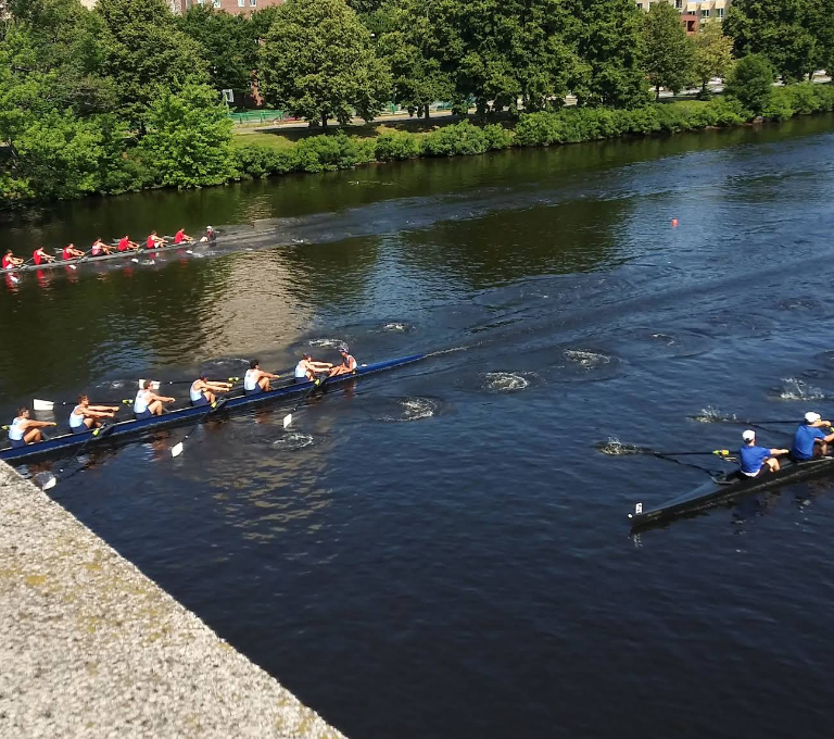 Several rowing teams race in long boats on a calm river, with one blue boat and other blue and red-clad crews paddling in unison near a green riverside.